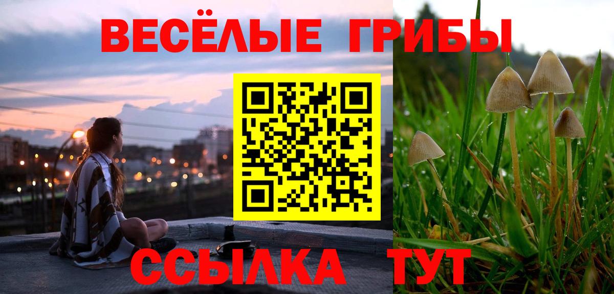 Татарск  Галлюциногенные грибы Cubensis  Галлюциногенные грибы MAGIC MUSHROOMS  Вход с VPN 