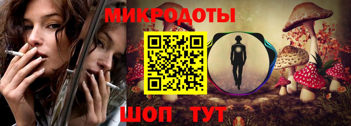 Псилоцибиновые грибы Psilocybine cubensis Татарск